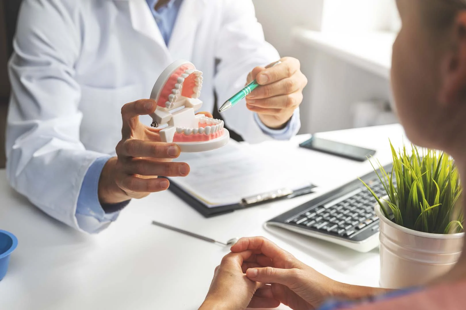 Dentist explaining dental implants to a patient using a teeth model